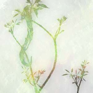Out of Place by Neil Berkowitz, Image 1.