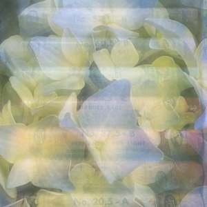 Truthtelling by Neil Berkowitz, Image 1.
