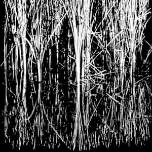 Wetland Restoration by Neil Berkowitz, Image 2.