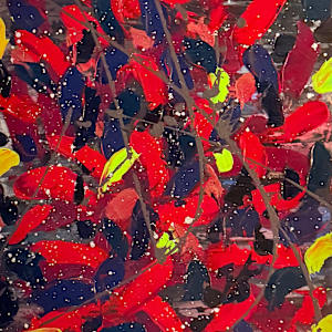 Chromatic Blooms by J. Vadala, Image 1.