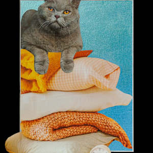 Cat Nap by Danielle Blanchette, Image 1.