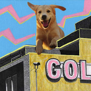 Gold Spike by Danielle Blanchette, Image 1.