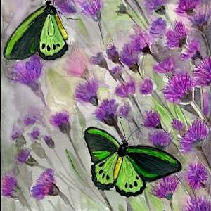 Butterfly-01 by Rajshree Jena, Image 5.