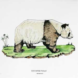 Disrupters (Qinling panda) by Anna Walsh, Image 1.