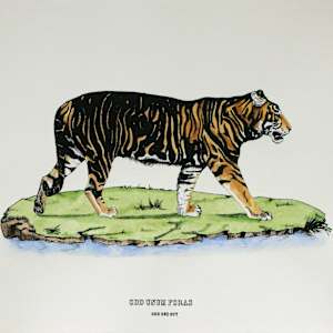 Disrupters (Pseudo melanistic tiger) by Anna Walsh, Image 1.