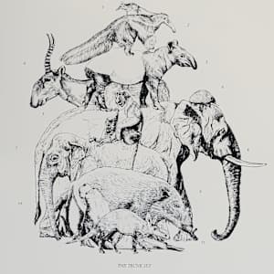 The Trunk Set by Anna Walsh, Image 1.
