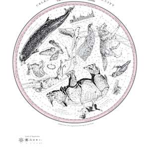 South Circular Celestial Menagerie by Anna Walsh, Image 1.