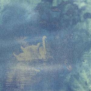 Cygnus Reverie by Anna Walsh, Image 1.