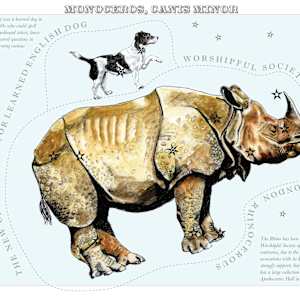 Monocerous and Canis minor (Unicorn and small dog) by Anna Walsh, Image 11.