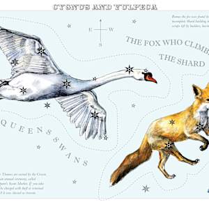 Swan by Anna Walsh, Image 7.