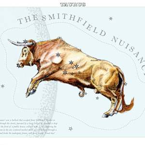 Taurus (Bull) by Anna Walsh, Image 3.