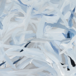 ShaunaPickering.0505.76x109 by Shauna Pickering