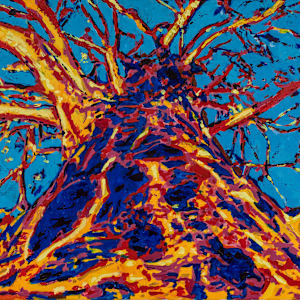 Sullington Warren Tree by Samantha Jane Anderson, Image 1.