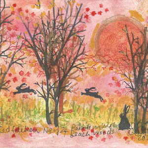 Rabbits at West Beach Woods 2/24 by Samantha Jane Anderson, Image 1.