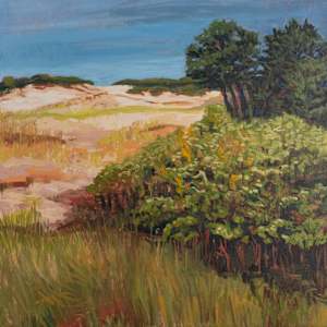Almost There by Patricia Pardini, Image 1.