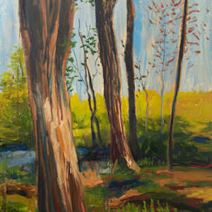 Alone by Patricia Pardini, Image 1.