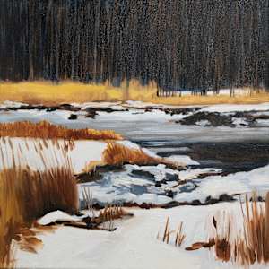 Icy Marsh by Patricia Pardini, Image 1.