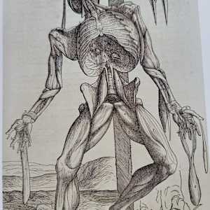 Alone and Loneliness  (Sola y Soledad) by Andreina Davila, Image 5.