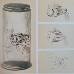 Turning Inward (Mirando Hacia Adentro) by Andreina Davila, Image 4.