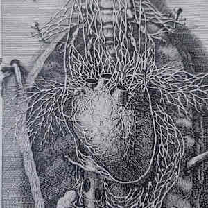 4_Embracing by Andreina Davila 