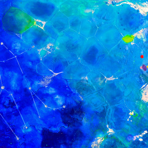 Fluidity by Andreina Davila