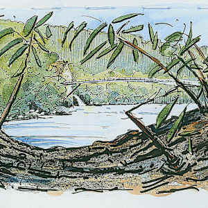 Brunnemühlesteg in Brugg, 2026 by Martin Spillmann, Image 1.
