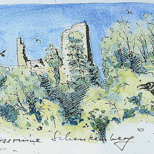 Burgruine Schenkenberg, 2026 by Martin Spillmann, Image 1.