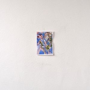 Compassion by Lezanne Scott, Image 1.