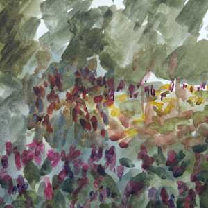 Hidden Away by Lezanne Scott, Image 3.