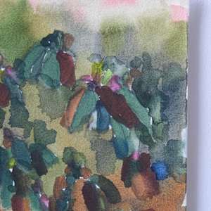 The Rhododendrons by Lezanne Scott, Image 2.
