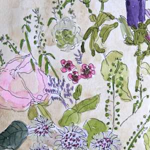 Wildflower Study by Lezanne Scott, Image 3.