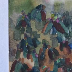 The Rhododendrons by Lezanne Scott, Image 1.