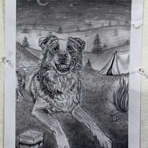Dog Graphite Drawing Series by Ashley Chesna, Image 1.