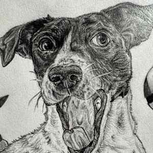 Jynx by Ashley Chesna, Image 3.