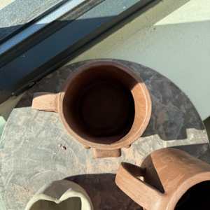 Duck Mugs by Ashley Chesna, Image 10.