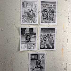 Dog Graphite Drawing Series by Ashley Chesna, Image 2.