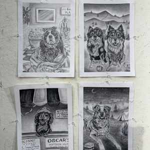 Dog Graphite Drawing Series by Ashley Chesna, Image 8.