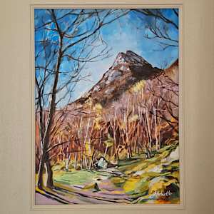 Ben A'an, Clearing by Julie Arbuckle, Image 2.