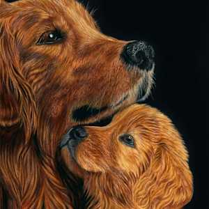 Sanctuary by Rose Rezaei, Image 1.