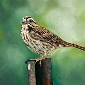 Sparrow in Spring by Rose Rezaei, Image 1.