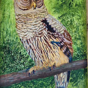 Barred Owl...Whooo Cooks For You? by Goldie Gillis, Image 1.