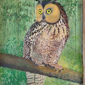 Great Horned Owl by Goldie Gillis, Image 1.
