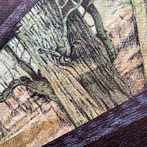 Looking for Birds by Gail Hoban, Image 8.