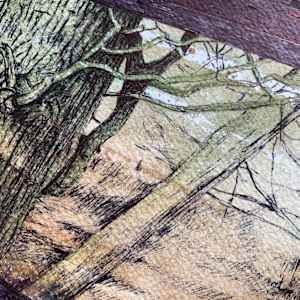 Looking for Birds by Gail Hoban, Image 9.