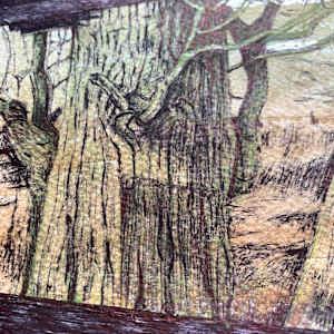 Looking for Birds by Gail Hoban, Image 7.
