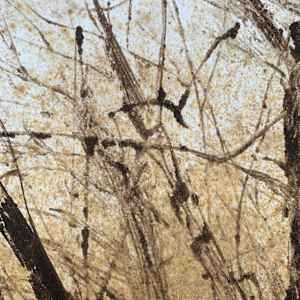 Making Birds 4 by Gail Hoban, Image 2.
