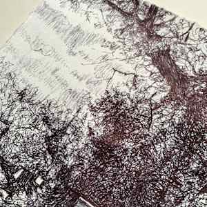 Footway Closed by Gail Hoban, Image 6.