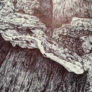 Bracket Fungus Suspended in Epping by Gail Hoban, Image 8.