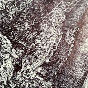 Bracket Fungus Suspended in Epping by Gail Hoban, Image 7.