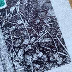 Private Woods by Gail Hoban, Image 6.
